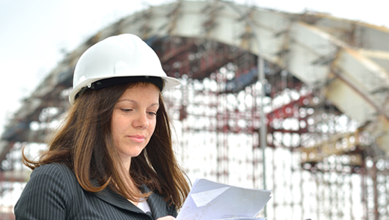Bridge Engineer-2 Bridge Engineer-2