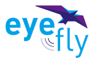 eye fly logo