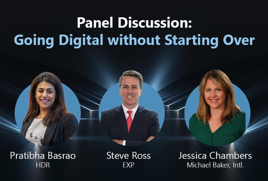 Panel